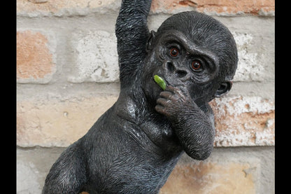 Hanging Baby Gorilla