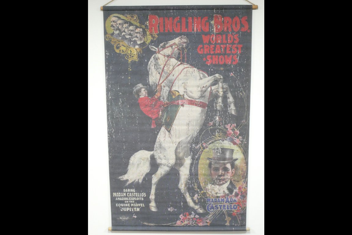 Canvas Wall Art - Horse