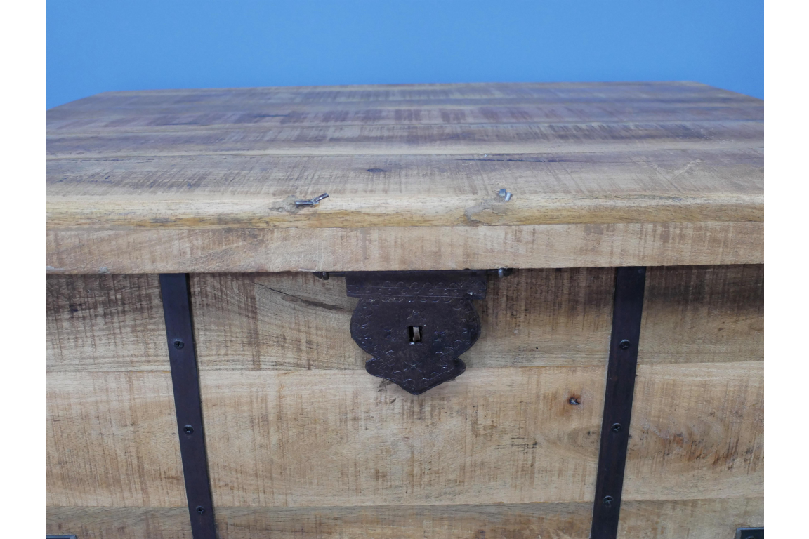 Trunk / Coffee Table