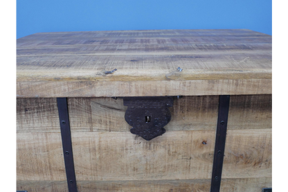 Trunk / Coffee Table
