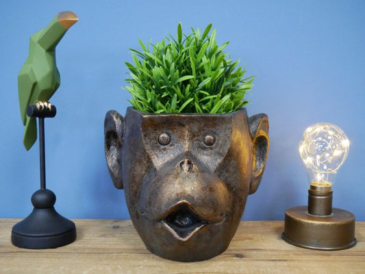 Monkey Head Planter