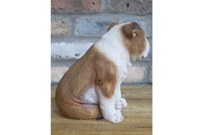 Bulldog