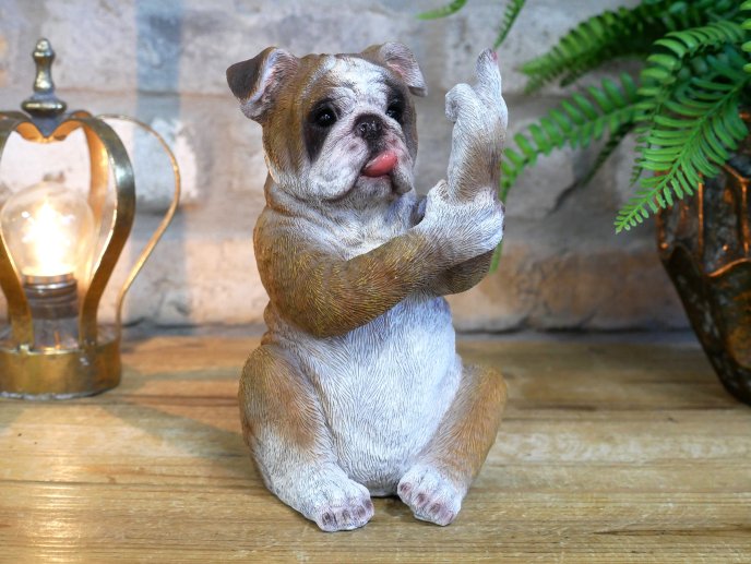 Up Yours Bulldog