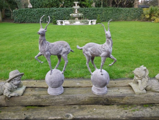 Pair of Stag's