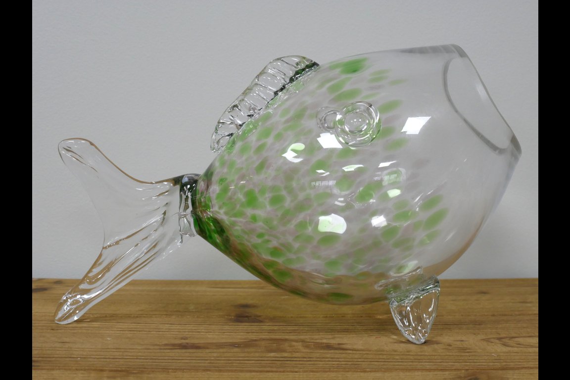 Big Mouth Glass Fish
