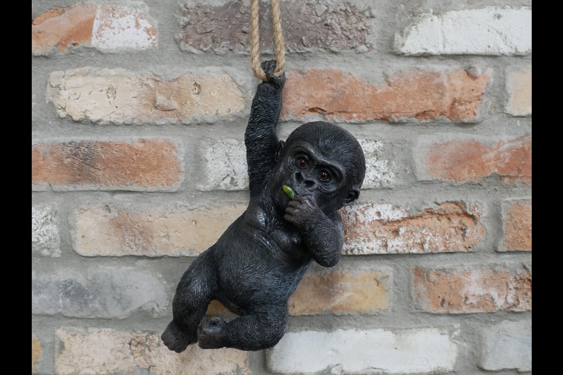 Hanging Baby Gorilla
