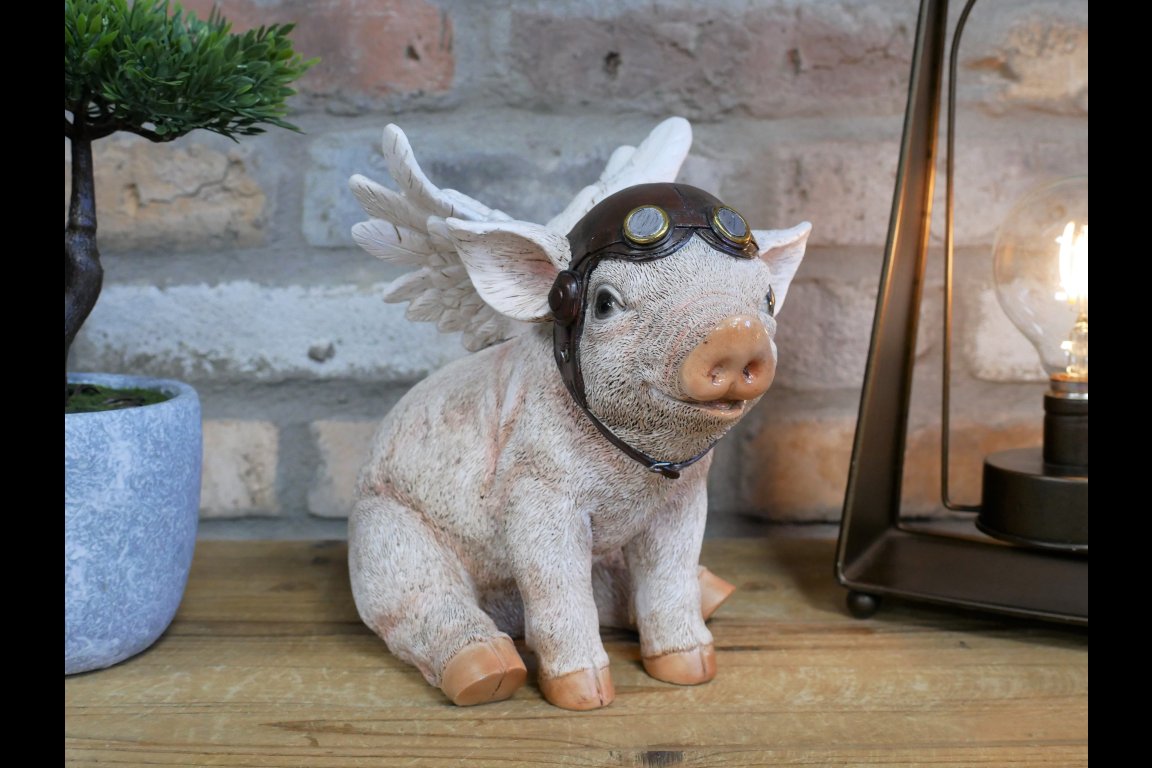 Flying Pig