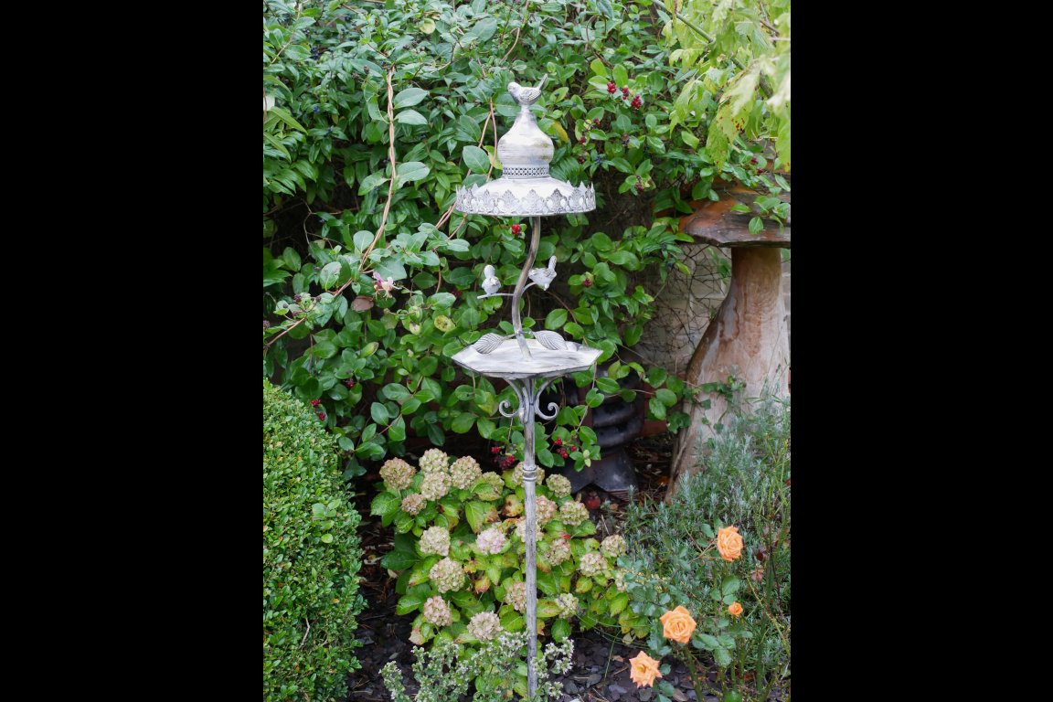 Bird Feeder