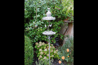 Bird Feeder