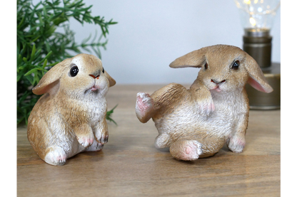 Mini Rabbits