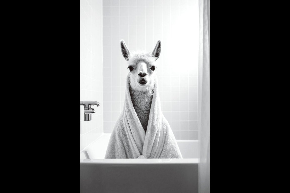 Llama In Bath Wall Art