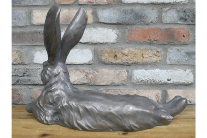 Laying Rabbit