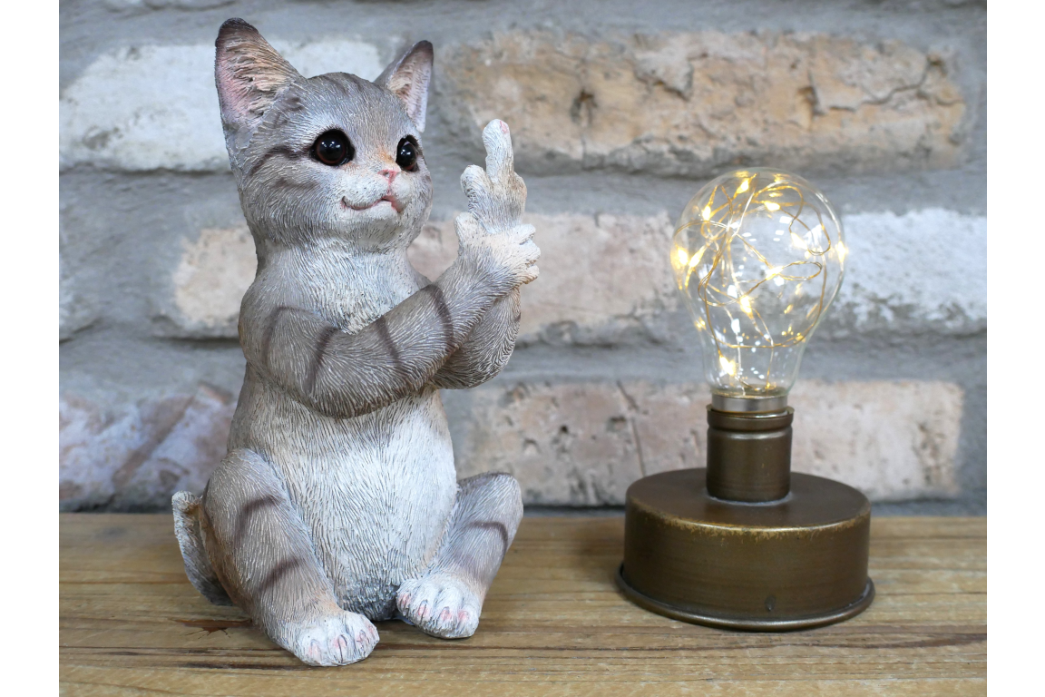 Up Yours Cat