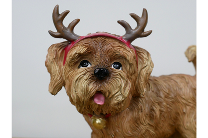 Dog With Antler Ears