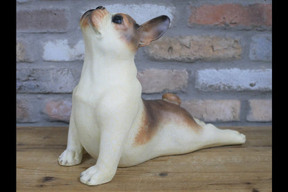 Stretching Dog