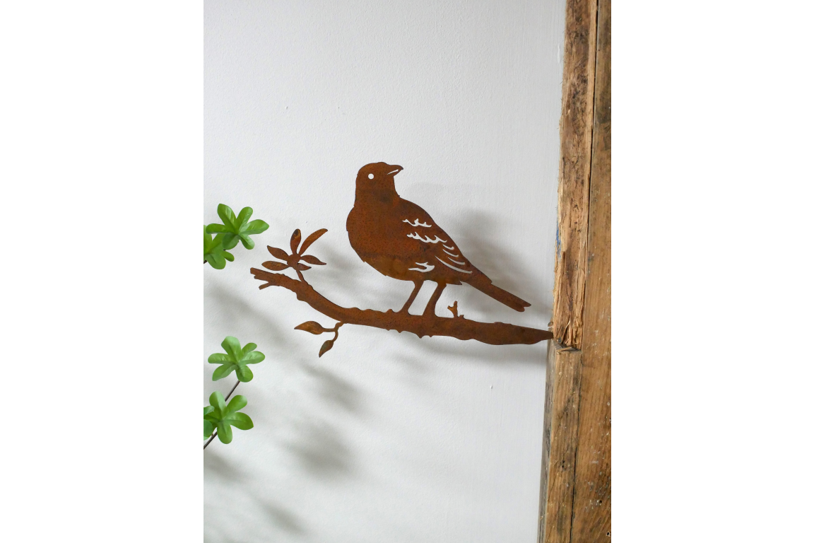 Bird Spike