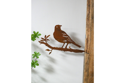 Bird Spike