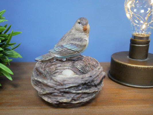 Bird Nest