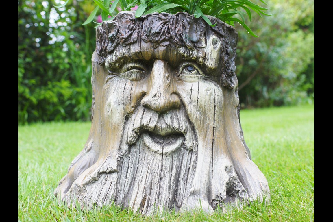 Tree Stump Planter