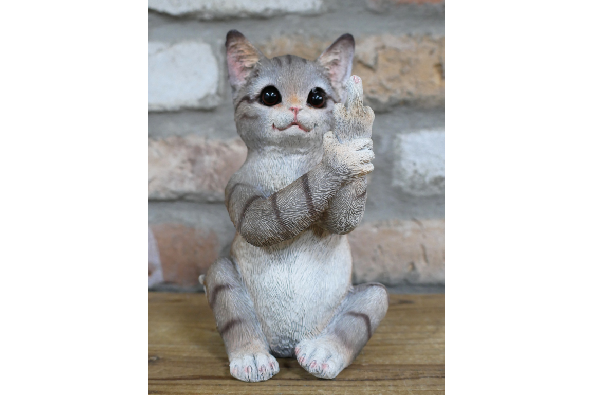 Up Yours Cat