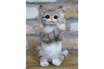 Up Yours Cat