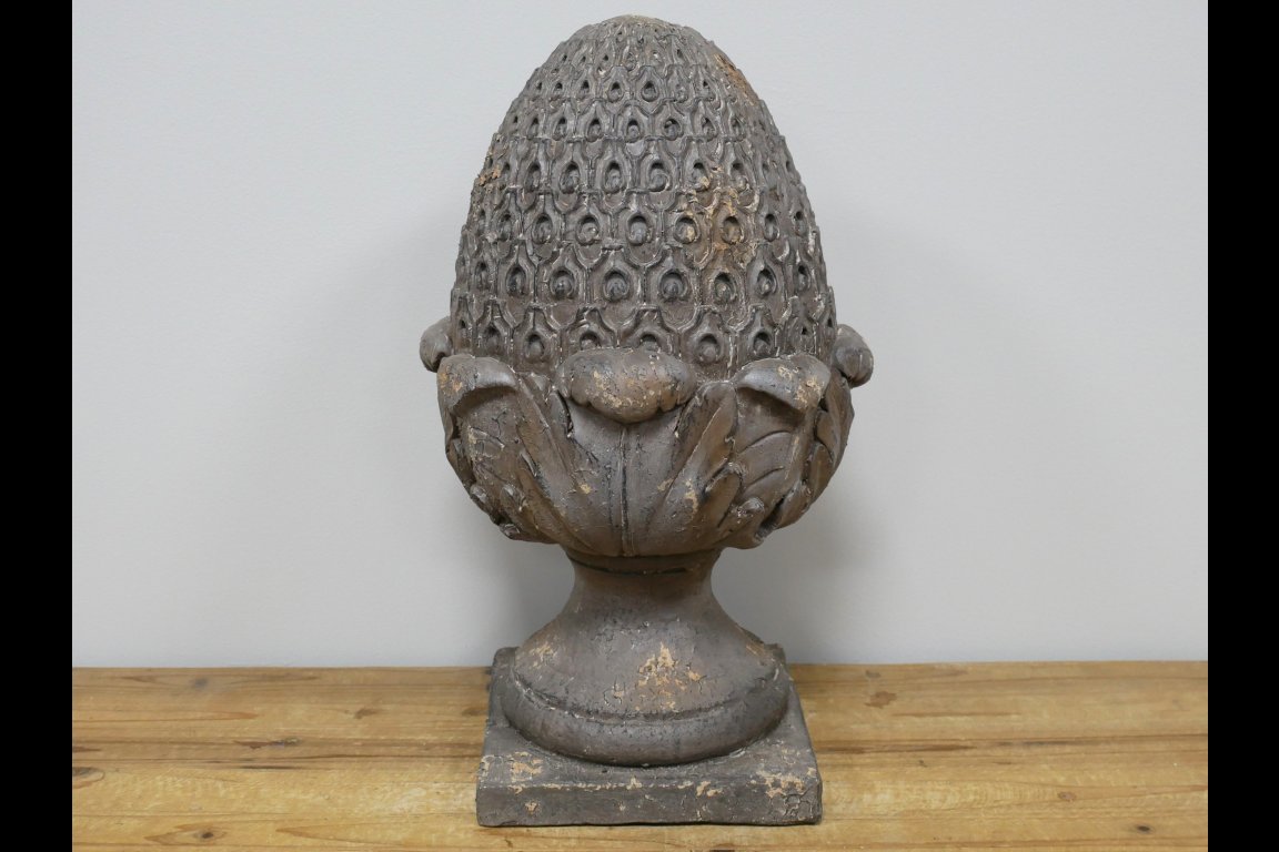 Acorn