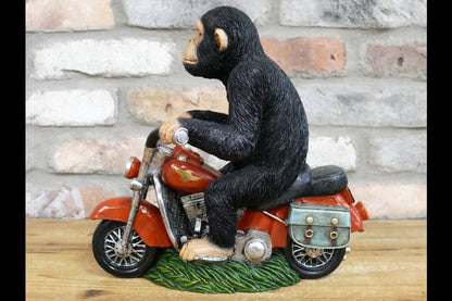 Monkey On Motorbike