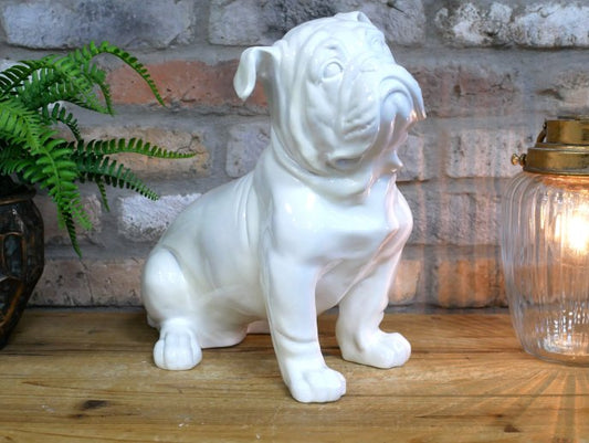 White Bulldog