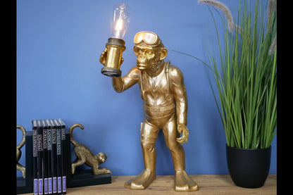 Scuba Steve Monkey