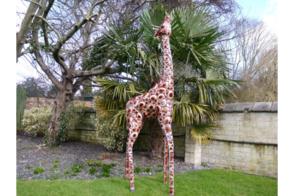 Giraffe Small