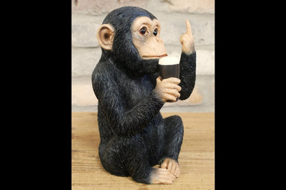 Up Yours Monkey McGuinness