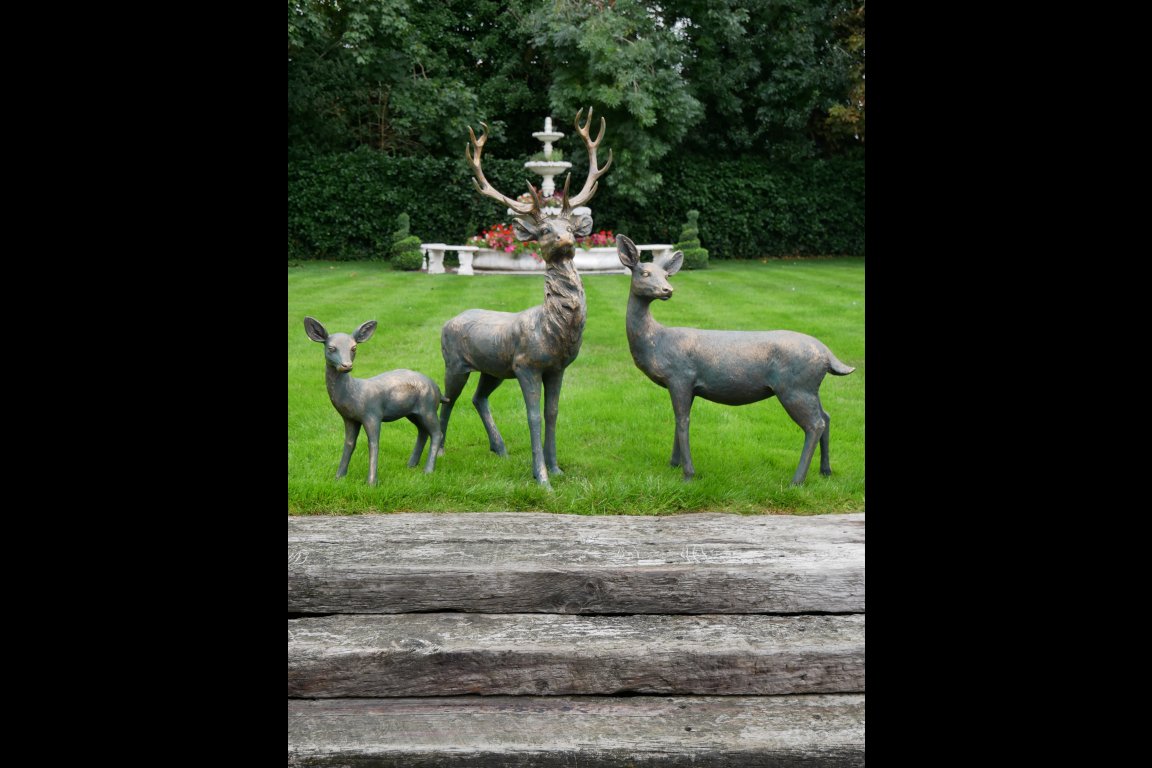 Stag