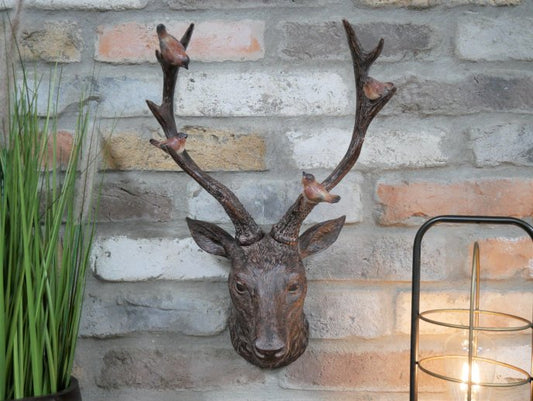 Stag Head