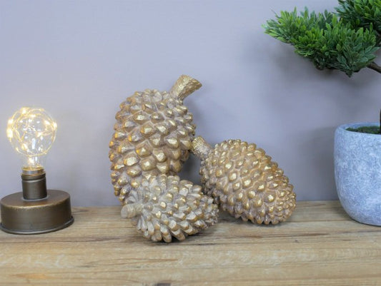 Set Of Three Pinecones