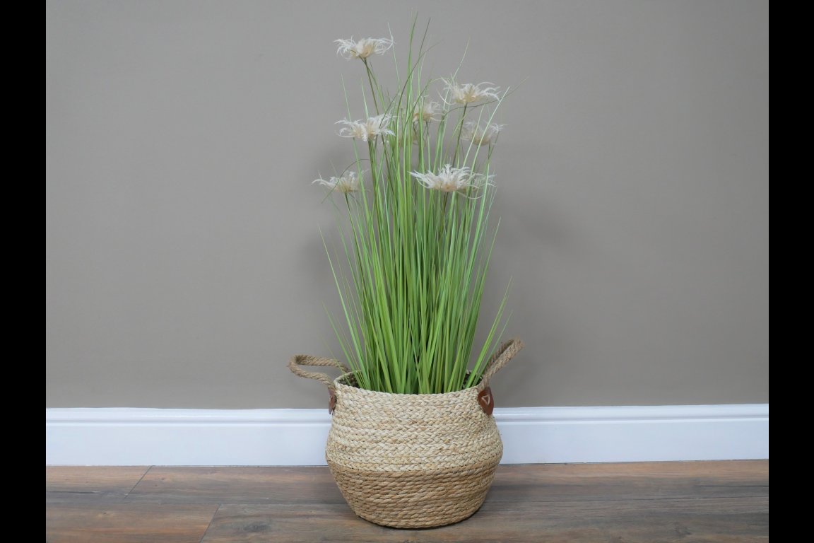 Basket / Planter