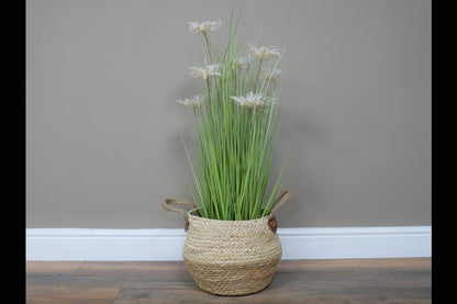 Basket / Planter