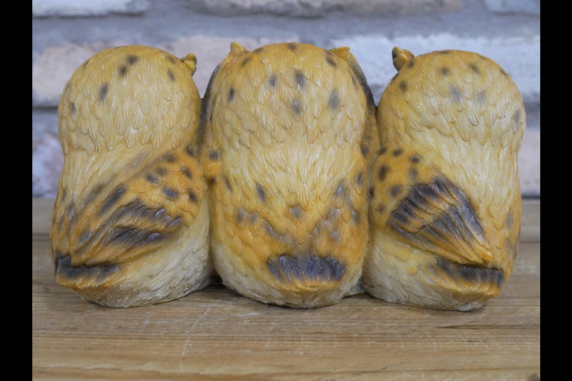 Three Owls