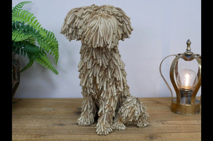 Sitting Shaggy Dog