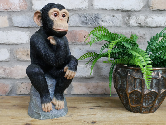 Monkey Thinking