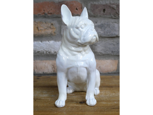 White Dog (Frenchie)