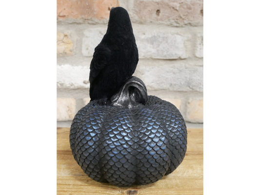 Crow On Pumpkin