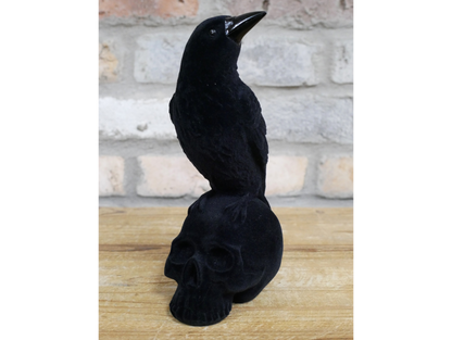 Crow On Skull