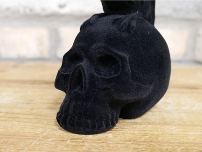 Crow On Skull