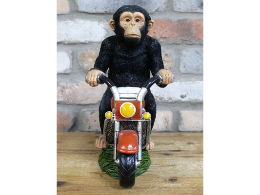 Monkey On Motorbike