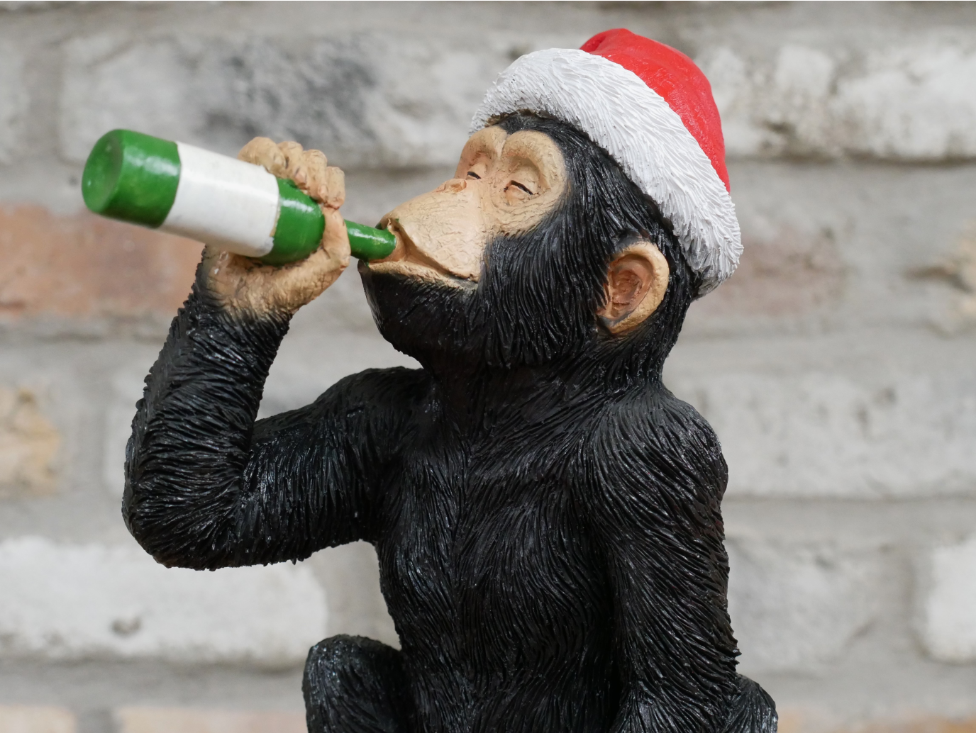 Drunken Monkey - Christmas