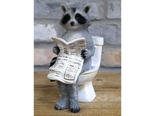 Racoon On The Loo