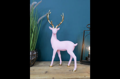 Pink Stag