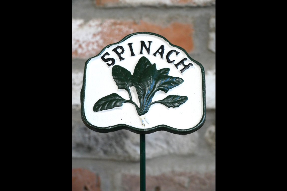 Spinach Sign