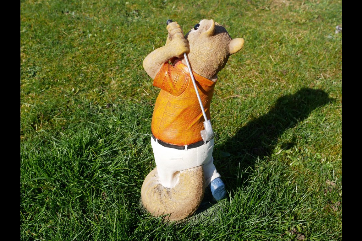 Squirrel Golfer
