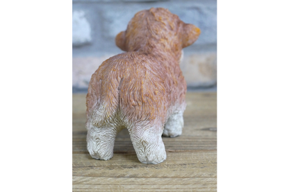 Tiny Baby Cow